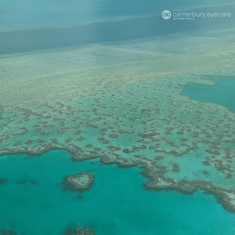 Aerial shot of reef